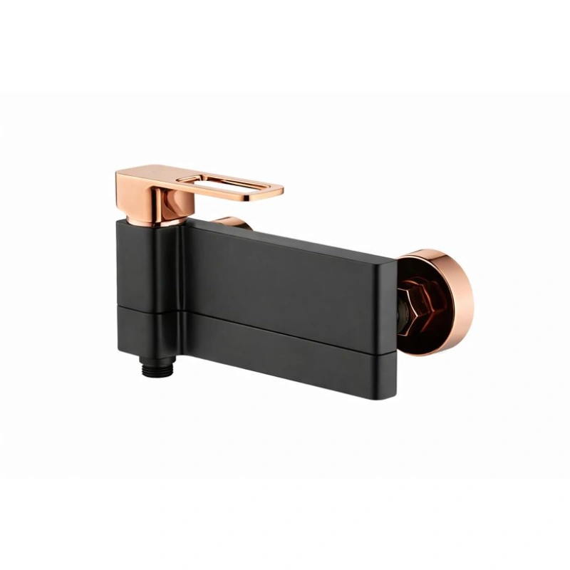 BATERIE DUS WTS238111AH