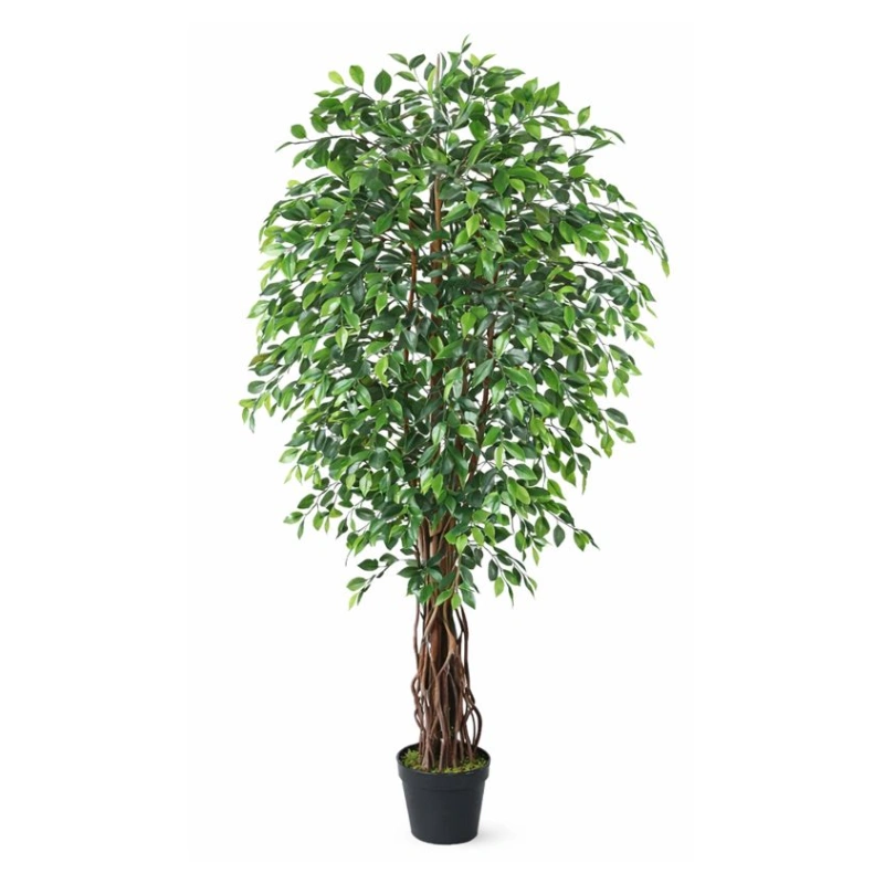 FICUS copac artificial