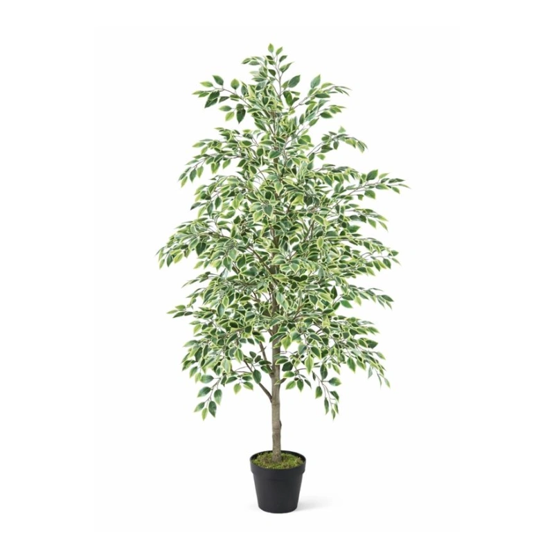 FICUS copac artificial