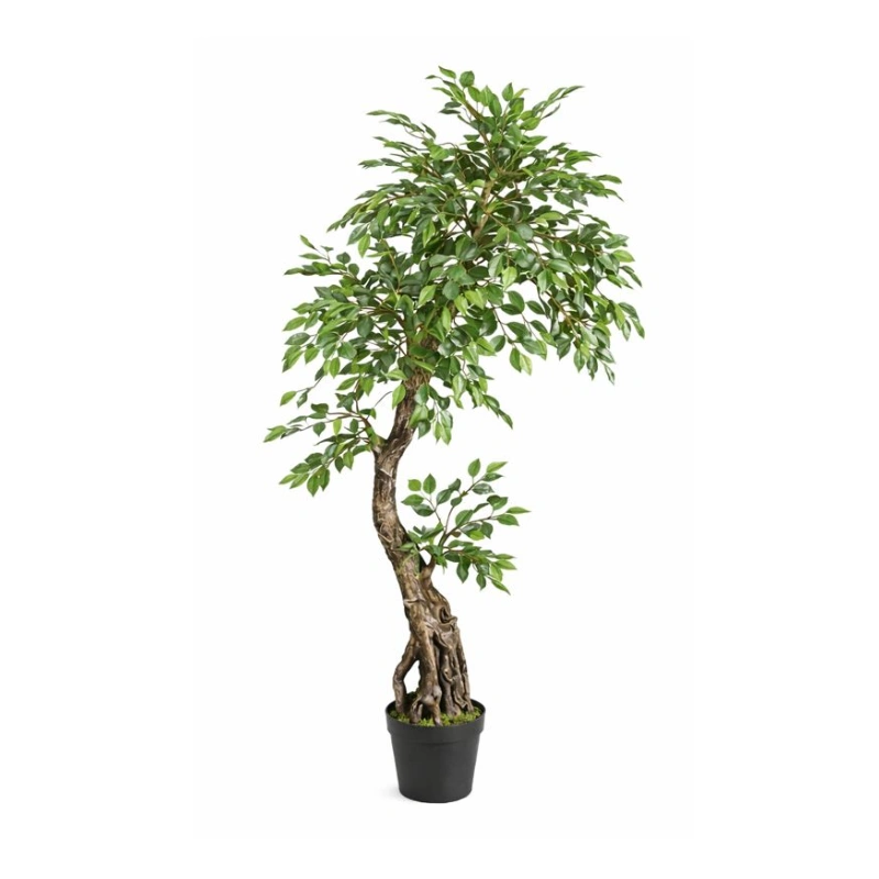 FICUS copac artificial