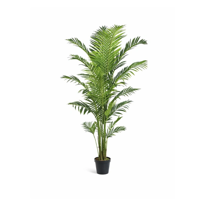 PALMIER ARECA copac artificial