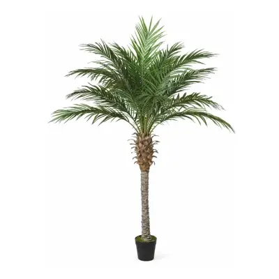 PALMIER copac artificial