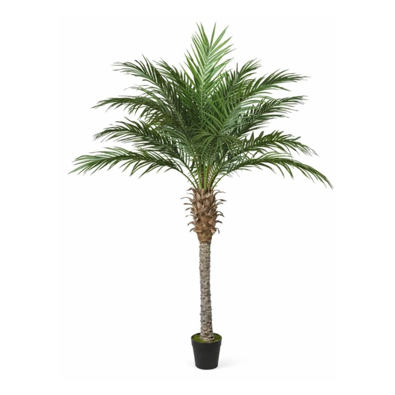 PALMIER copac artificial