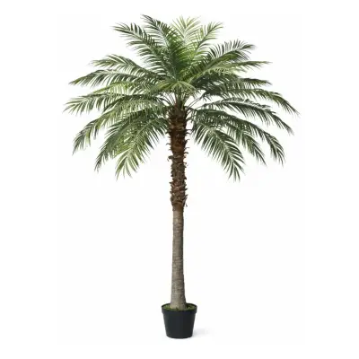 PALMIER WASHINGTONIA copac artificial - EXTERIOR
