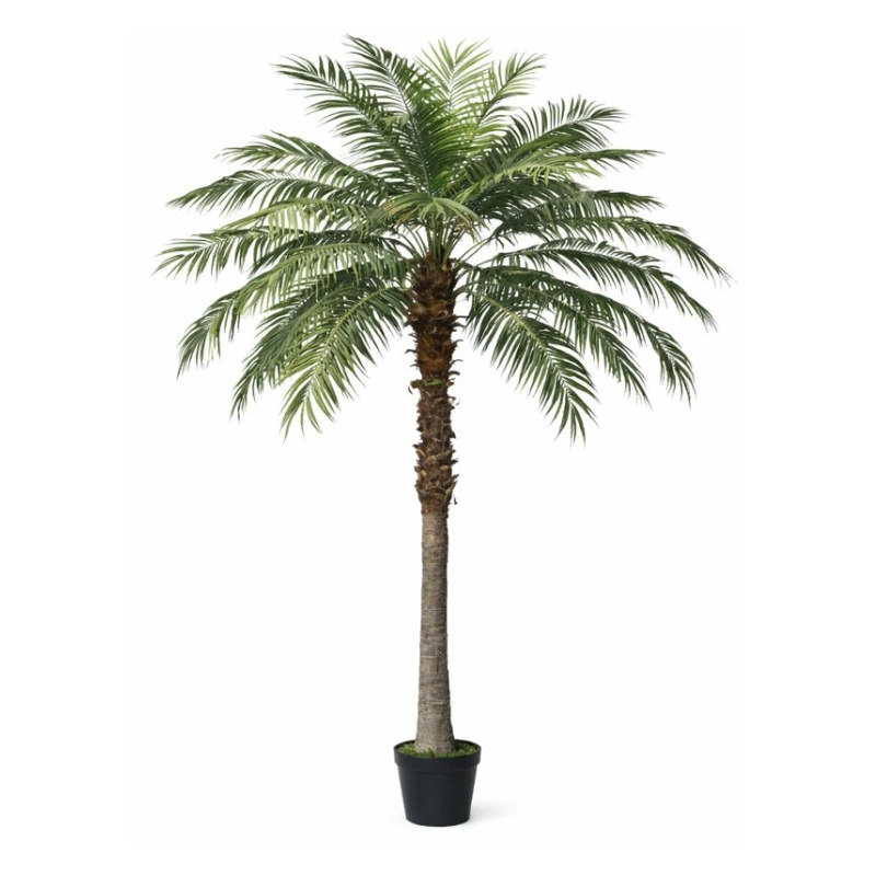 PALMIER WASHINGTONIA copac artificial - EXTERIOR