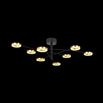 Lustra Oily - Black+Brushed Gold 