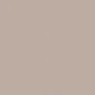 C-BASIC TAUPE 100x300x3.5 N.