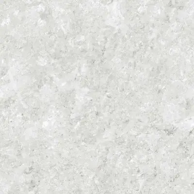 C-HERMITAGE GRIS 120x260x5.6 N.