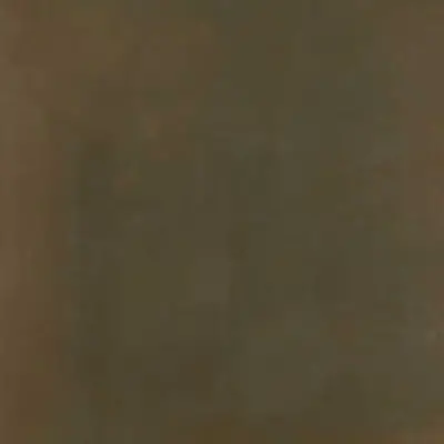 C-LAVA MARRON 100x300x3.5