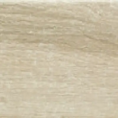 AMAZONIA FRESNO A. 15x80 cm