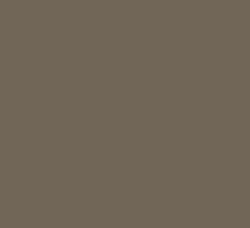 CULOAREA Brown