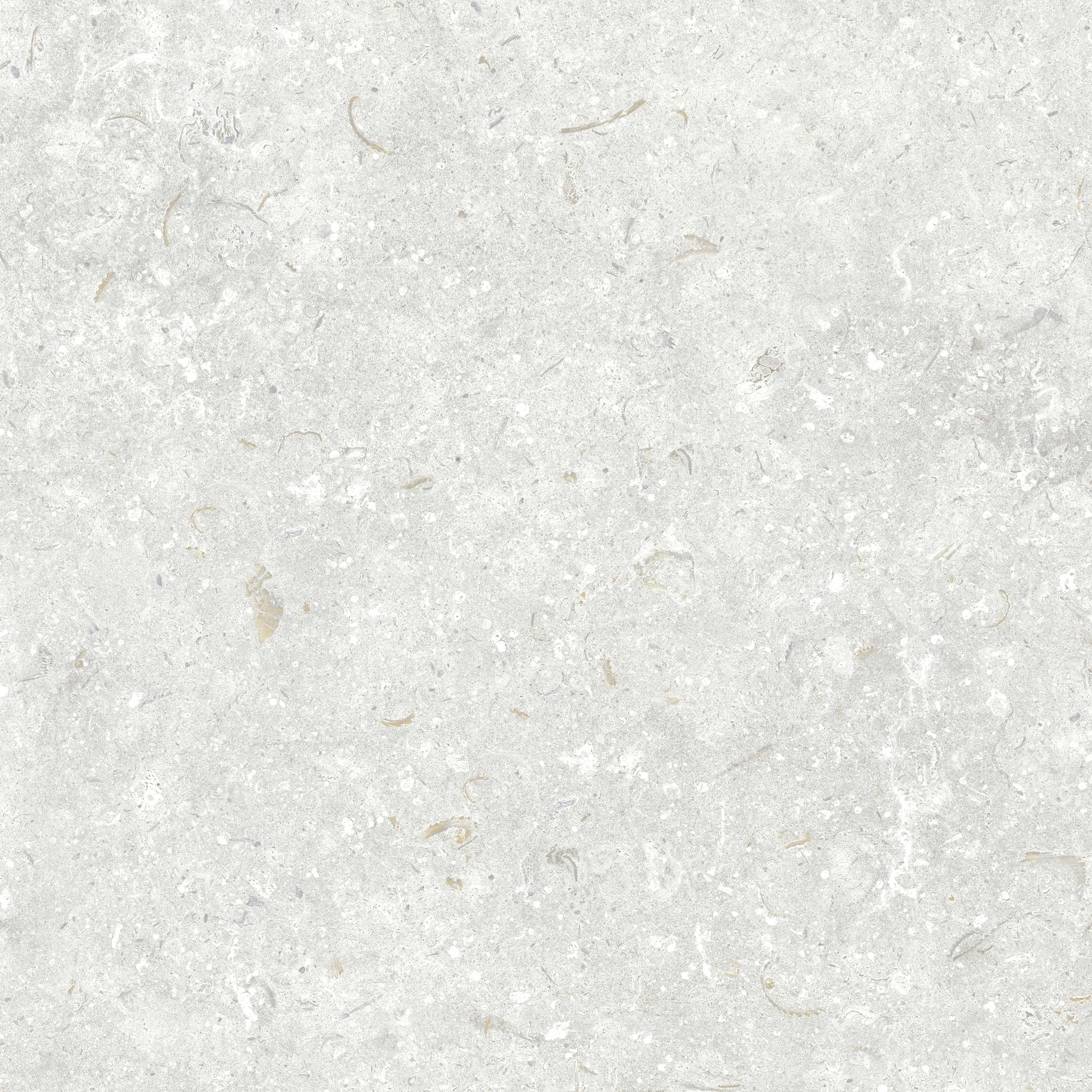 FOSIL PERLA 60x60