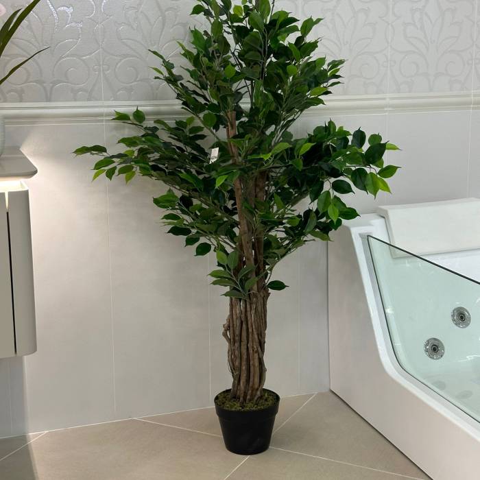 FICUS copac artificial