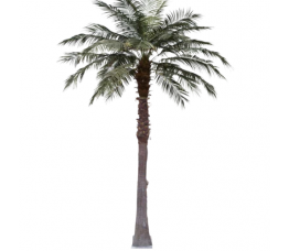 PALMIER WASHINGTONIA copac artificial - EXTERIOR