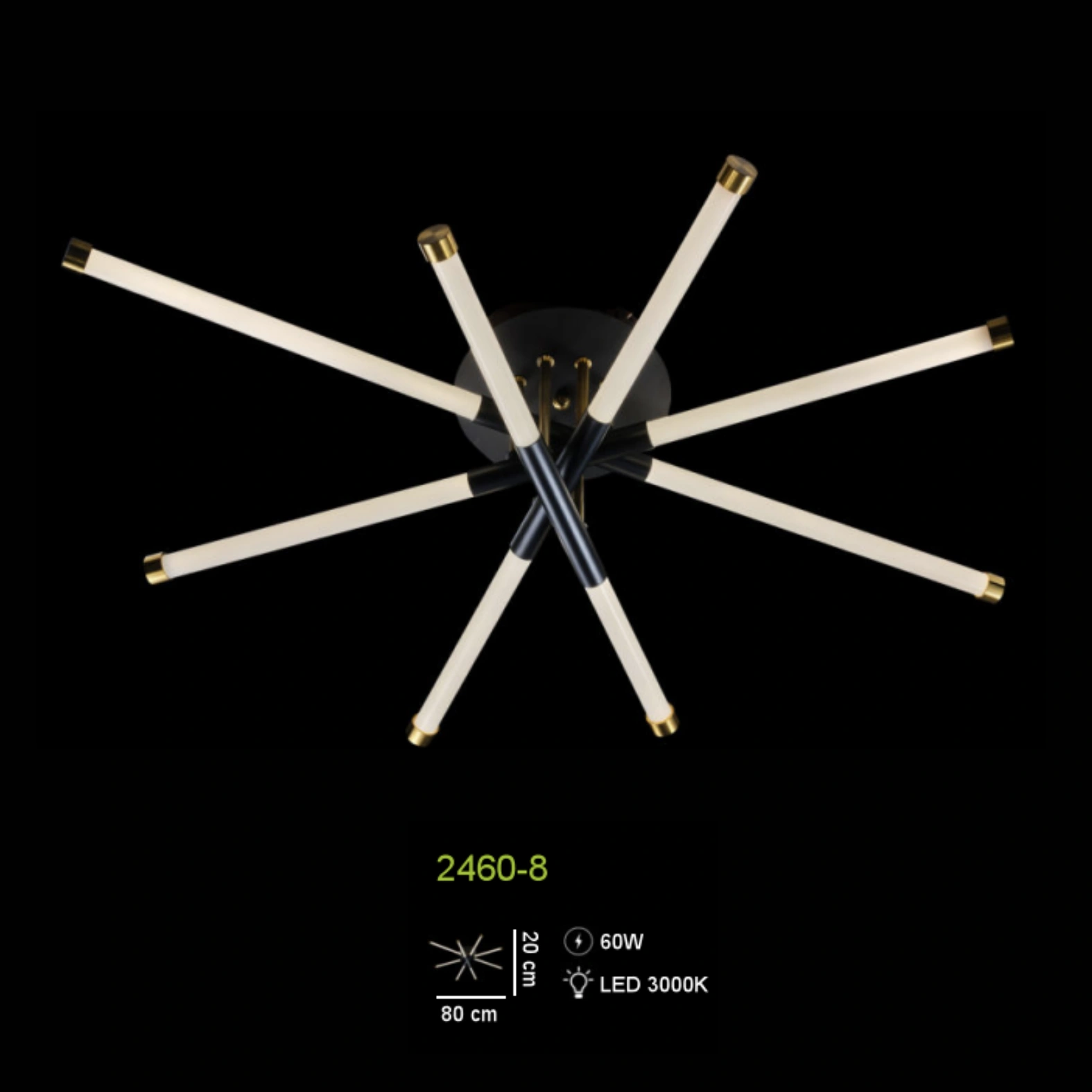 Lustra 2460-8